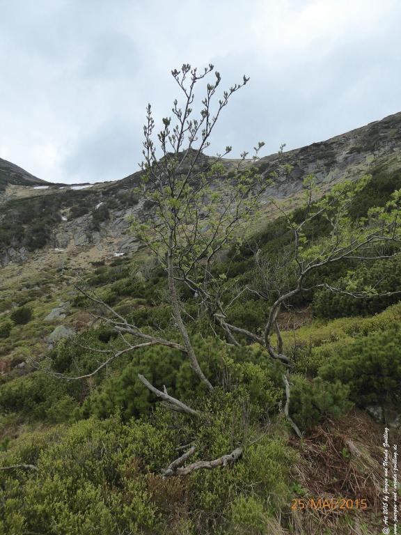 Philosophische Bildwanderung Karpacz - Kocioł Łomniczki - Śnieżka - Karkonosze - Krakonoše - Polen - Tschechien(Krummhübel - Melzergrund - Schneekoppe Riesengebirge)