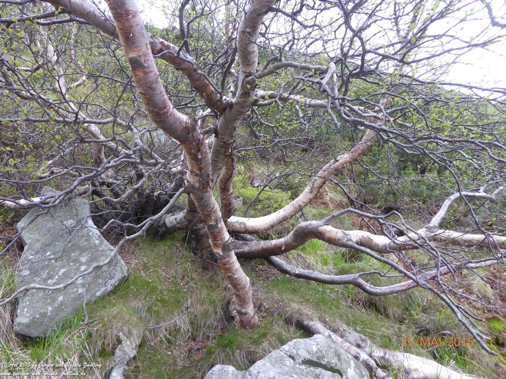 Philosophische Bildwanderung Karpacz - Kocioł Łomniczki - Śnieżka - Karkonosze - Krakonoše - Polen - Tschechien(Krummhübel - Melzergrund - Schneekoppe Riesengebirge)