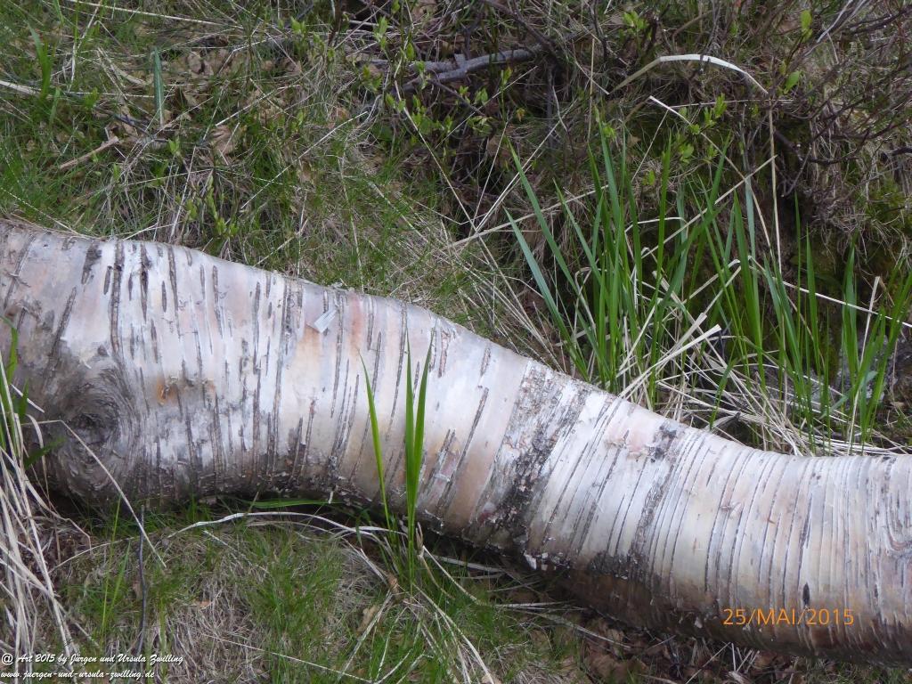 Philosophische Bildwanderung Karpacz - Kocioł Łomniczki - Śnieżka - Karkonosze - Krakonoše - Polen - Tschechien(Krummhübel - Melzergrund - Schneekoppe Riesengebirge)