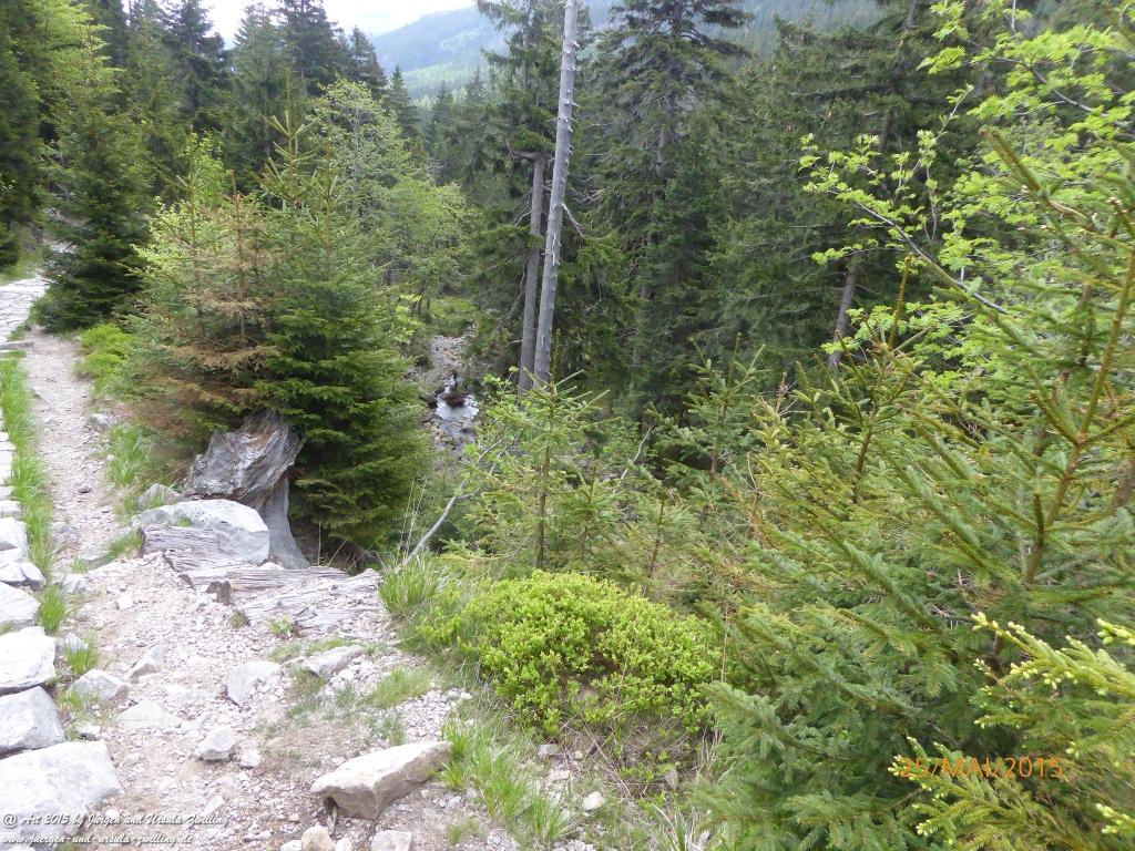 Philosophische Bildwanderung Karpacz - Kocioł Łomniczki - Śnieżka - Karkonosze - Krakonoše - Polen - Tschechien‬(Krummhübel - Melzergrund - Schneekoppe  Riesengebirge)