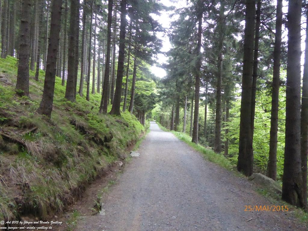 Philosophische Bildwanderung Karpacz - Kocioł Łomniczki - Śnieżka - Karkonosze - Krakonoše - Polen - Tschechien(Krummhübel - Melzergrund - Schneekoppe Riesengebirge)