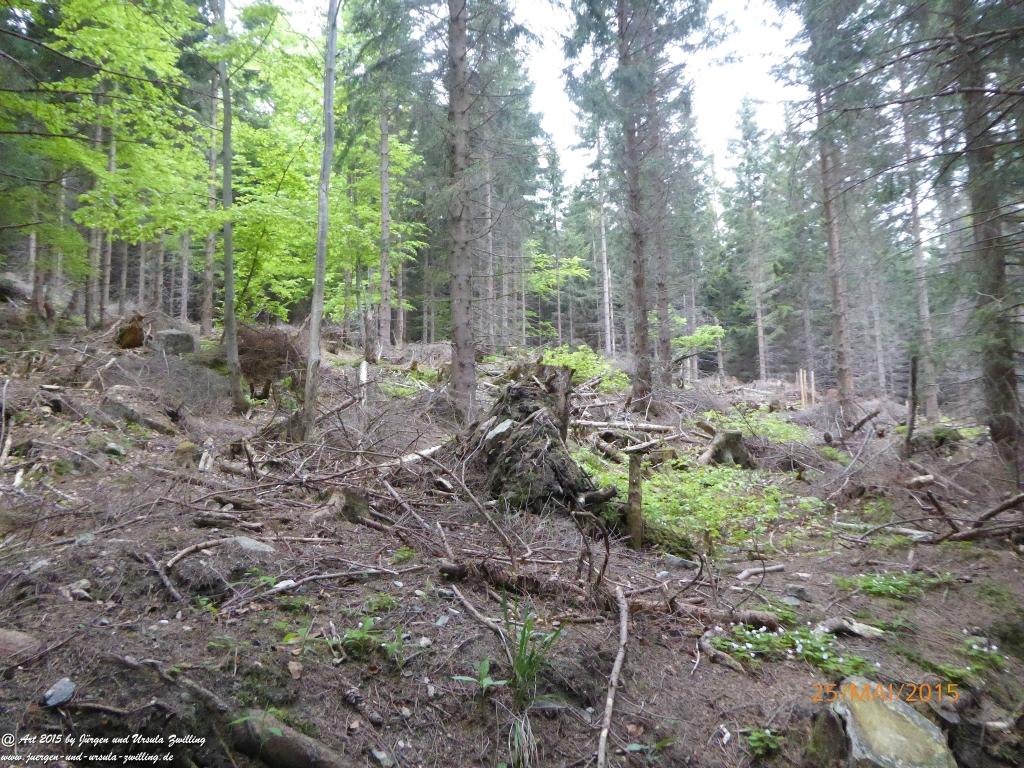 Philosophische Bildwanderung Karpacz - Kocioł Łomniczki - Śnieżka - Karkonosze - Krakonoše - Polen - Tschechien(Krummhübel - Melzergrund - Schneekoppe Riesengebirge)