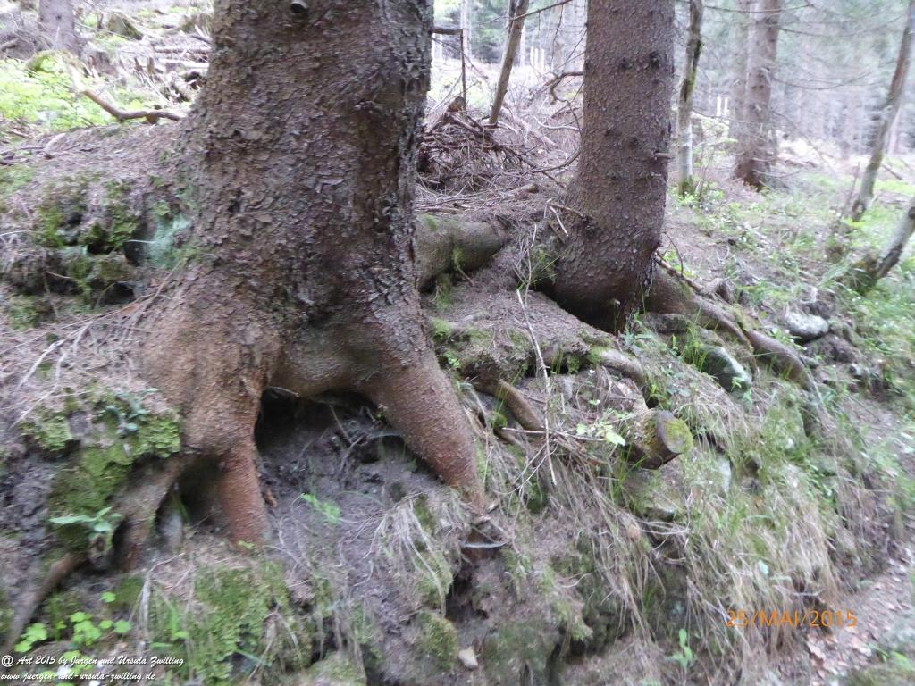 Philosophische Bildwanderung Karpacz - Kocioł Łomniczki - Śnieżka - Karkonosze - Krakonoše - Polen - Tschechien(Krummhübel - Melzergrund - Schneekoppe Riesengebirge)