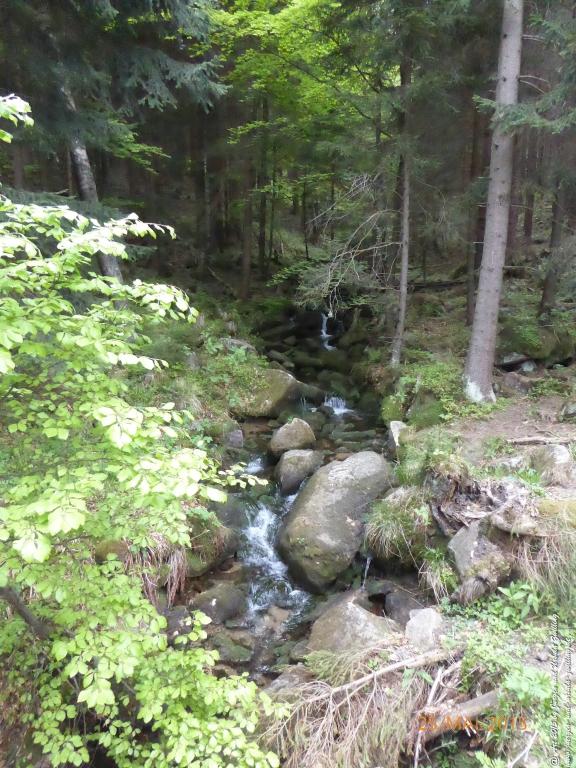 Philosophische Bildwanderung Karpacz - Kocioł Łomniczki - Śnieżka - Karkonosze - Krakonoše - Polen - Tschechien(Krummhübel - Melzergrund - Schneekoppe Riesengebirge)