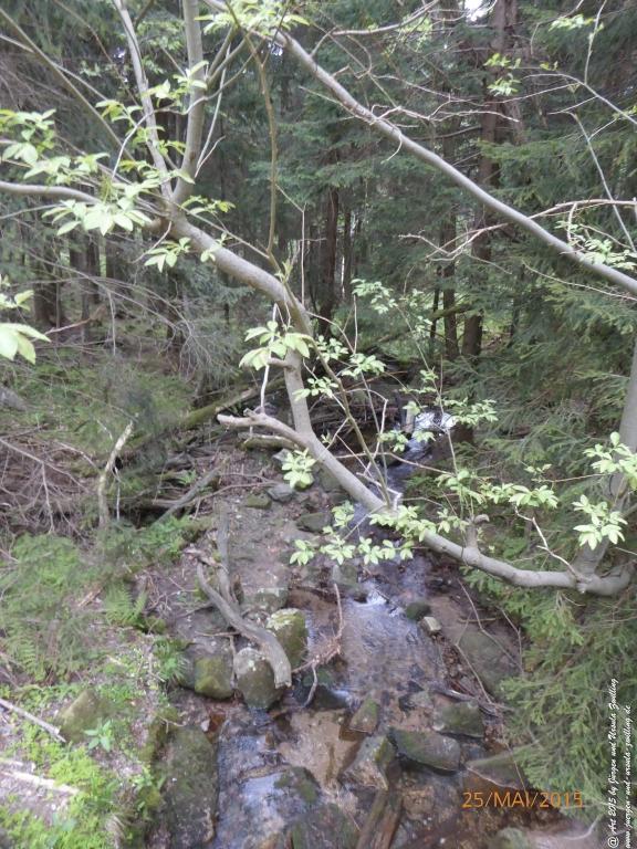 Philosophische Bildwanderung Karpacz - Kocioł Łomniczki - Śnieżka - Karkonosze - Krakonoše - Polen - Tschechien(Krummhübel - Melzergrund - Schneekoppe Riesengebirge)