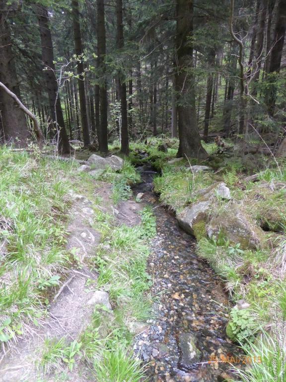 Philosophische Bildwanderung Karpacz - Kocioł Łomniczki - Śnieżka - Karkonosze - Krakonoše - Polen - Tschechien(Krummhübel - Melzergrund - Schneekoppe Riesengebirge)