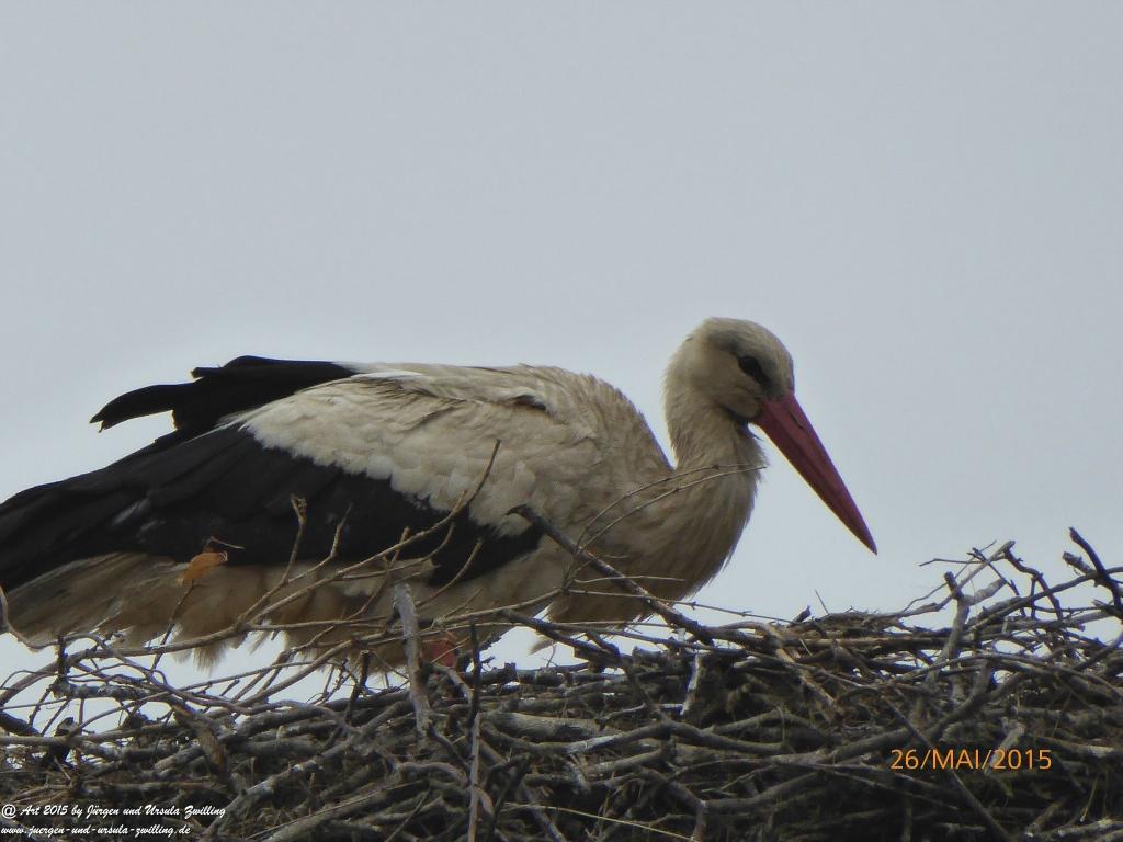 Opole - Oppeln und Umgebung - Polen
