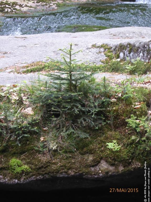 Philosophische Bildwanderung - Szklarska Poreba - Wodospad Szklarki - Hala pod Łabskim Szczytem - Polen - Tschechien(Schreiberhau -Kochelfall -Alte Schlesische Baude - Karkonosze - Krakonoše -Riesengebirge