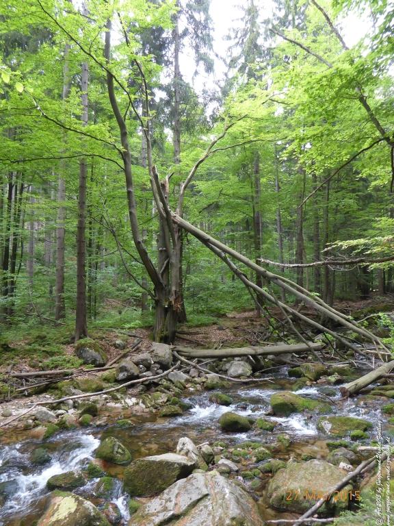 Philosophische Bildwanderung - Szklarska Poreba - Wodospad Szklarki - Hala pod Łabskim Szczytem - Polen - Tschechien(Schreiberhau -Kochelfall -Alte Schlesische Baude - Karkonosze - Krakonoše -Riesengebirge