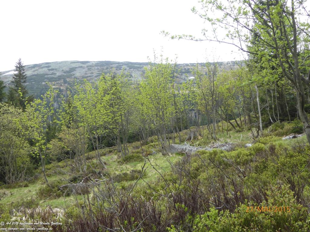 Philosophische Bildwanderung - Szklarska Poreba - Wodospad Szklarki - Hala pod Łabskim Szczytem - Polen - Tschechien(Schreiberhau -Kochelfall -Alte Schlesische Baude - Karkonosze - Krakonoše -Riesengebirge