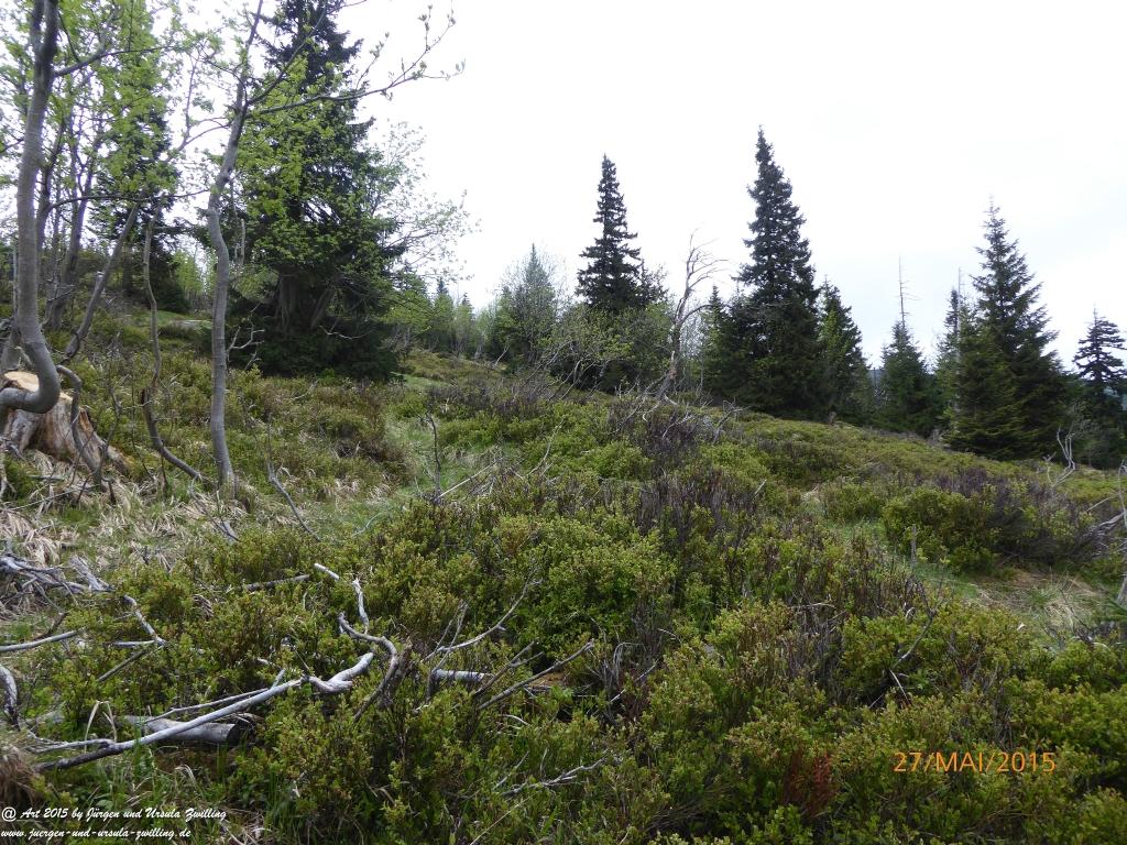 Philosophische Bildwanderung - Szklarska Poreba - Wodospad Szklarki - Hala pod Łabskim Szczytem - Polen - Tschechien(Schreiberhau -Kochelfall -Alte Schlesische Baude - Karkonosze - Krakonoše -Riesengebirge