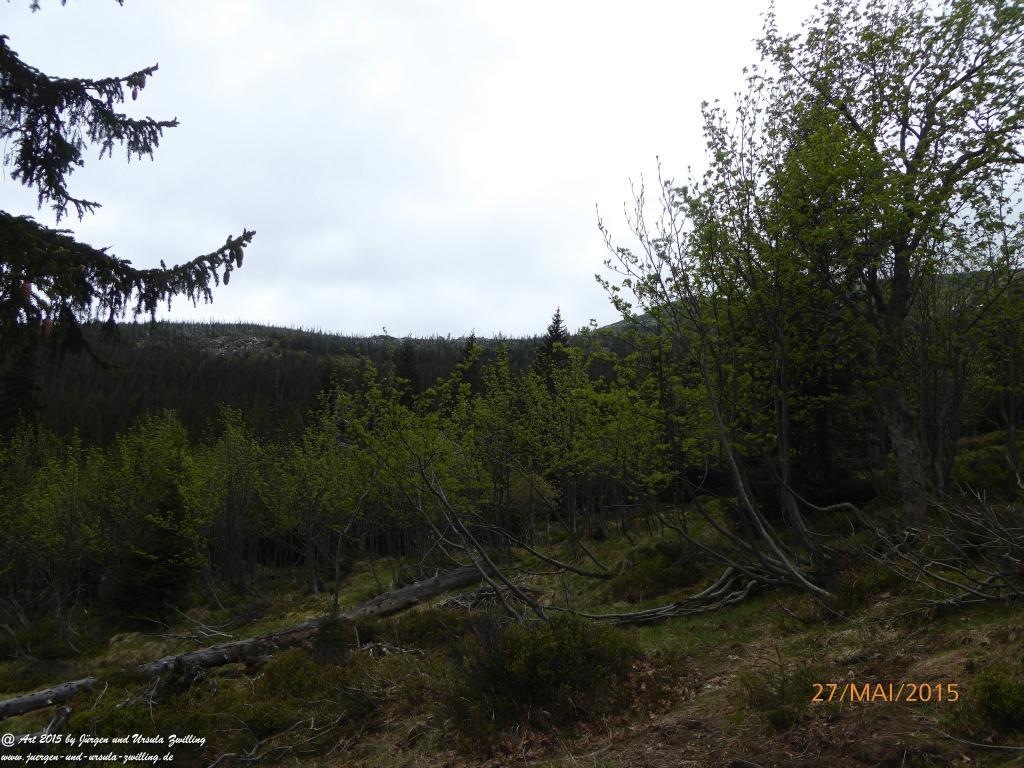 Philosophische Bildwanderung -  Szklarska Poreba - Wodospad Szklarki - Hala pod Łabskim Szczytem - Polen - Tschechien‬(Schreiberhau -Kochelfall -Alte Schlesische Baude - Karkonosze - Krakonoše -Riesengebirge