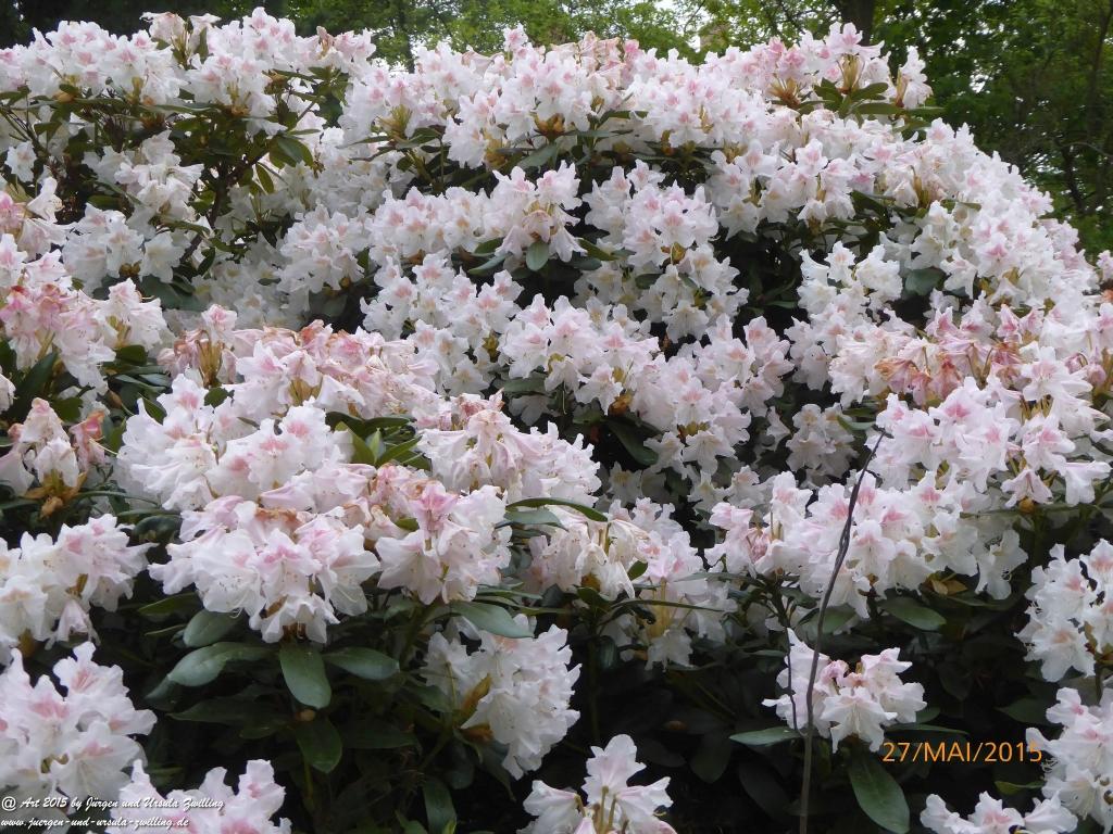 Philosophische Bildwanderung - Szklarska Poreba - Wodospad Szklarki - Hala pod Łabskim Szczytem - Polen - Tschechien(Schreiberhau -Kochelfall -Alte Schlesische Baude - Karkonosze - Krakonoše -Riesengebirge