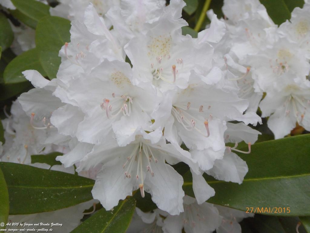 Philosophische Bildwanderung - Szklarska Poreba - Wodospad Szklarki - Hala pod Łabskim Szczytem - Polen - Tschechien(Schreiberhau -Kochelfall -Alte Schlesische Baude - Karkonosze - Krakonoše -Riesengebirge