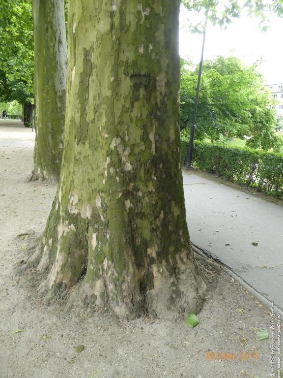 Wrocław - Breslau - Polen