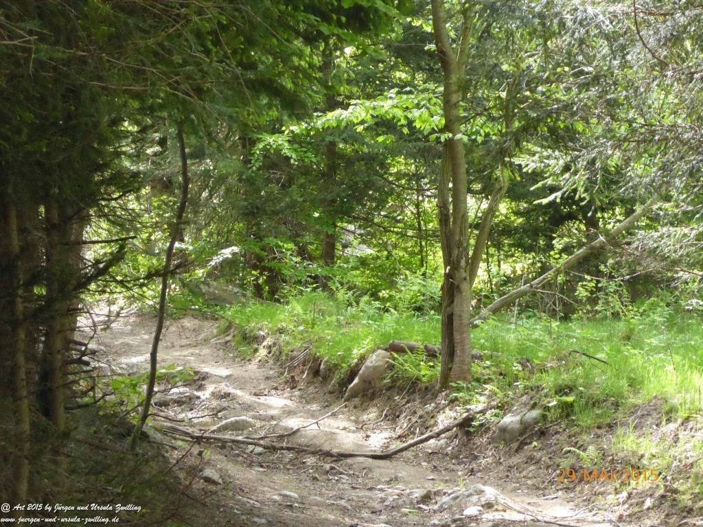 Philosophische Bildwanderung - Przesieka - Borowice - Słonecznik -Karkonosze - Krakonoše - Polen -Tschechien -(Hain - Baberhäuser - Mittagstein - Riesengebirge