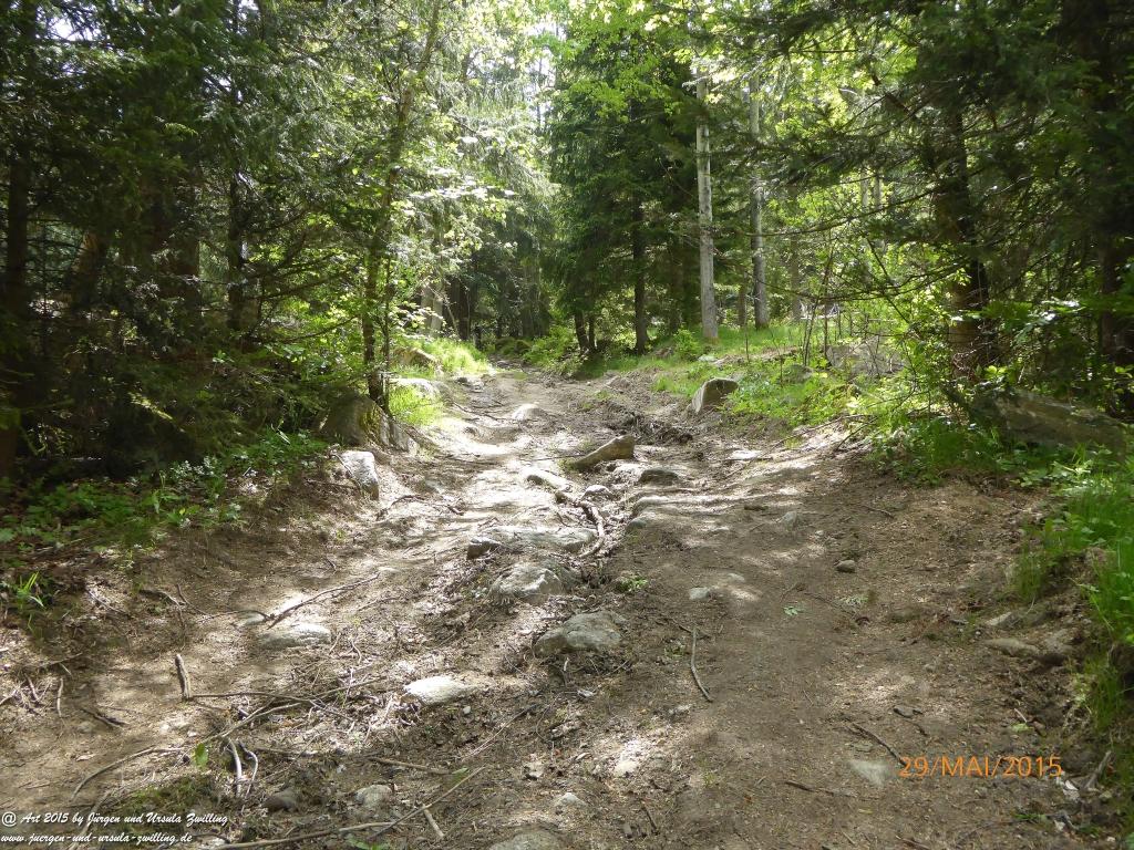 Philosophische Bildwanderung - Przesieka - Borowice - Słonecznik -Karkonosze - Krakonoše - Polen -Tschechien -(Hain - Baberhäuser - Mittagstein - Riesengebirge