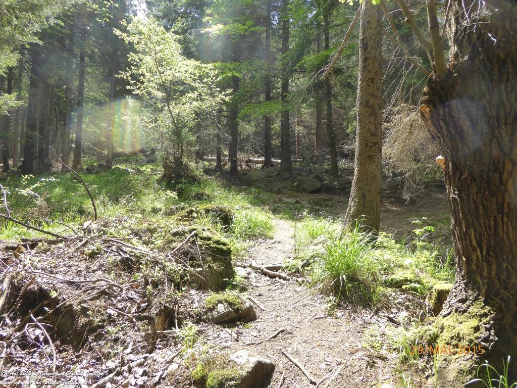 Philosophische Bildwanderung - Przesieka - Borowice - Słonecznik -Karkonosze - Krakonoše - Polen -Tschechien -(Hain - Baberhäuser - Mittagstein - Riesengebirge