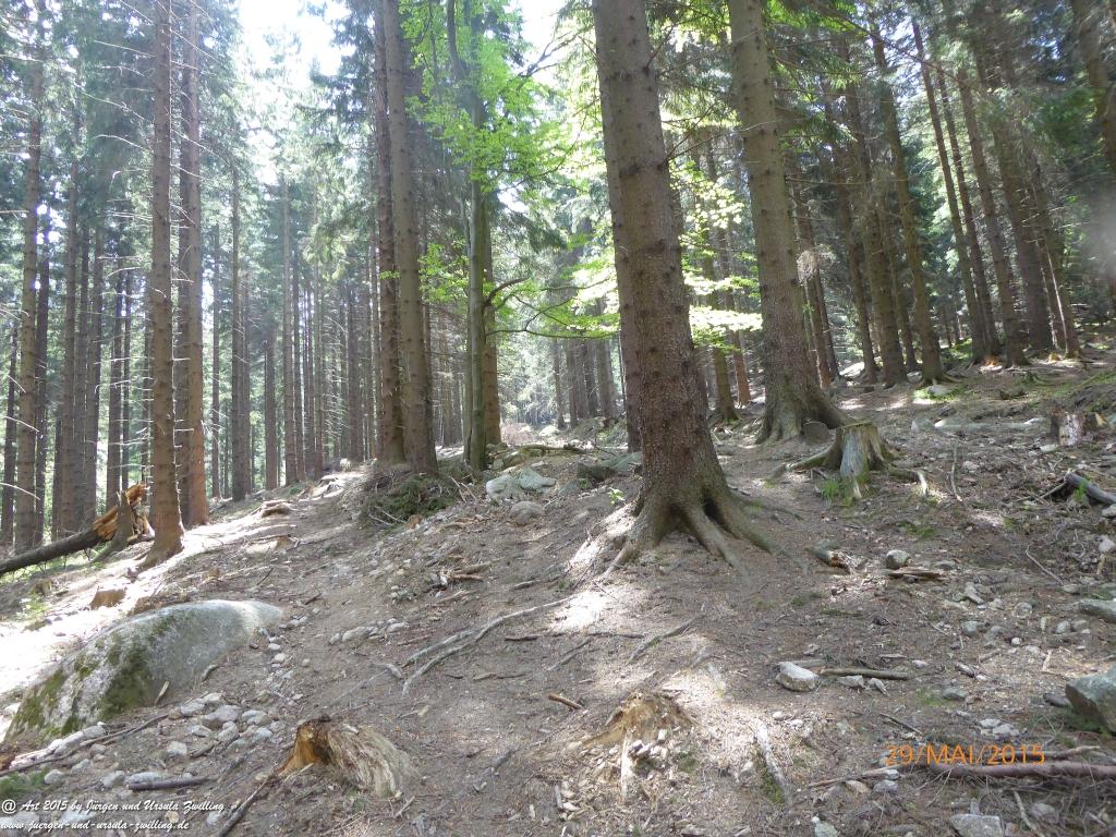 Philosophische Bildwanderung - Przesieka - Borowice - Słonecznik -Karkonosze - Krakonoše - Polen -Tschechien -(Hain - Baberhäuser - Mittagstein - Riesengebirge