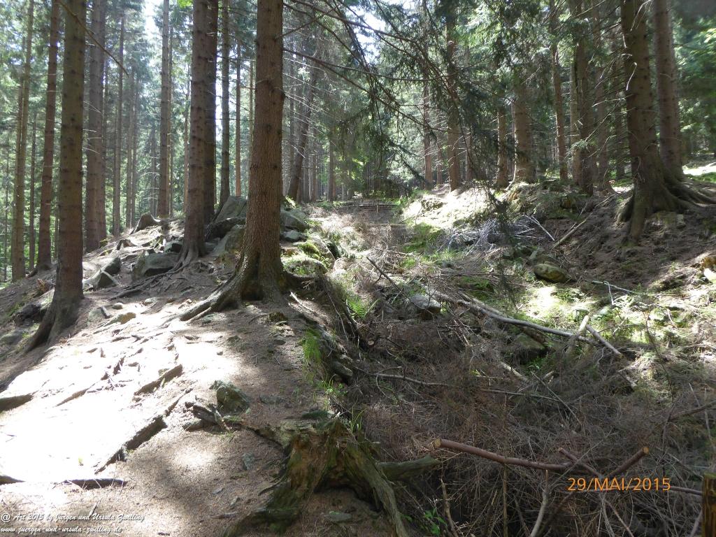 Philosophische Bildwanderung - Przesieka - Borowice - Słonecznik -Karkonosze - Krakonoše - Polen -Tschechien -(Hain - Baberhäuser - Mittagstein - Riesengebirge