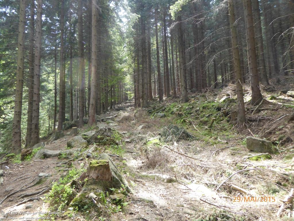 Philosophische Bildwanderung - Przesieka - Borowice - Słonecznik -Karkonosze - Krakonoše - Polen -Tschechien -(Hain - Baberhäuser - Mittagstein - Riesengebirge