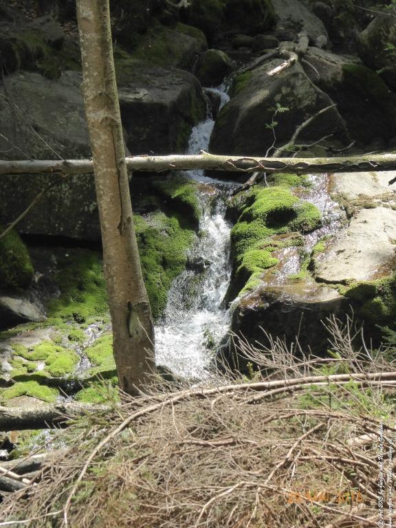 Philosophische Bildwanderung - Przesieka - Borowice - Słonecznik -Karkonosze - Krakonoše - Polen -Tschechien -(Hain - Baberhäuser - Mittagstein - Riesengebirge