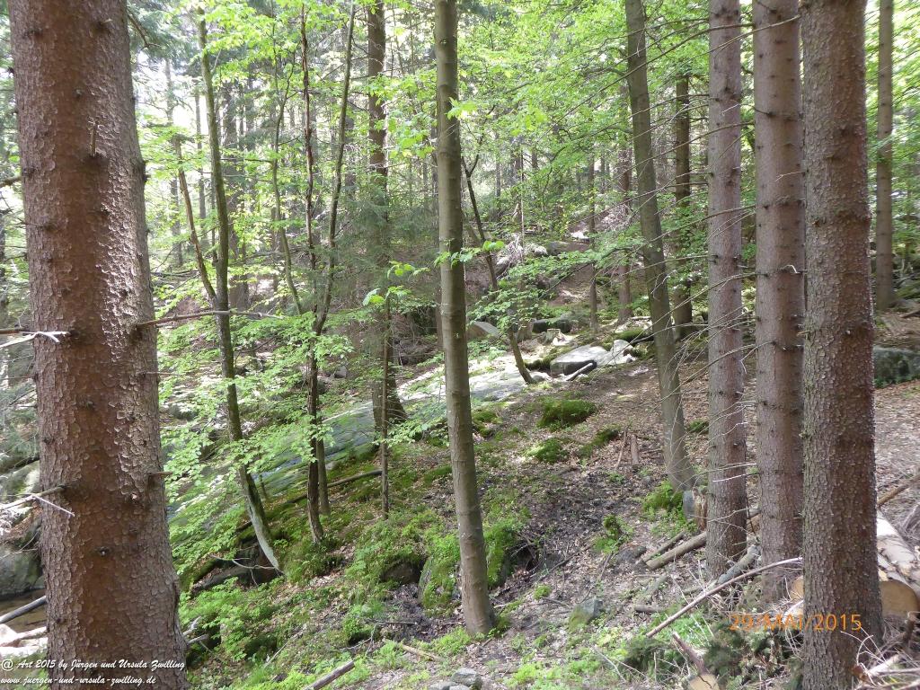 Philosophische Bildwanderung - Przesieka - Borowice - Słonecznik -Karkonosze - Krakonoše - Polen -Tschechien -(Hain - Baberhäuser - Mittagstein - Riesengebirge