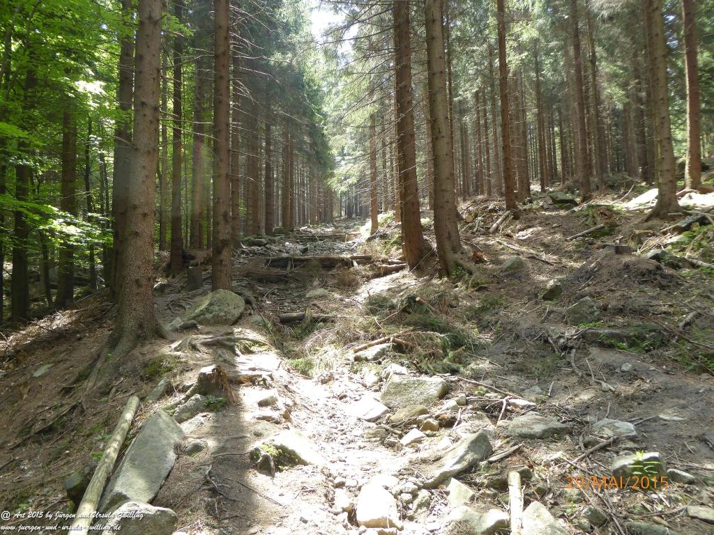 Philosophische Bildwanderung - Przesieka - Borowice - Słonecznik -Karkonosze - Krakonoše - Polen -Tschechien -(Hain - Baberhäuser - Mittagstein - Riesengebirge