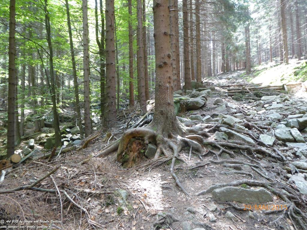 Philosophische Bildwanderung - Przesieka - Borowice - Słonecznik -Karkonosze - Krakonoše - Polen -Tschechien -(Hain - Baberhäuser - Mittagstein - Riesengebirge