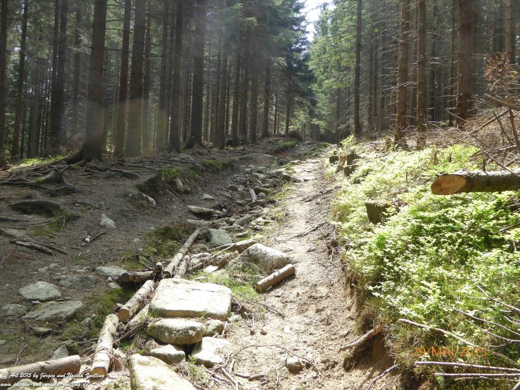 Philosophische Bildwanderung - Przesieka - Borowice - Słonecznik -Karkonosze - Krakonoše - Polen -Tschechien -(Hain - Baberhäuser - Mittagstein - Riesengebirge