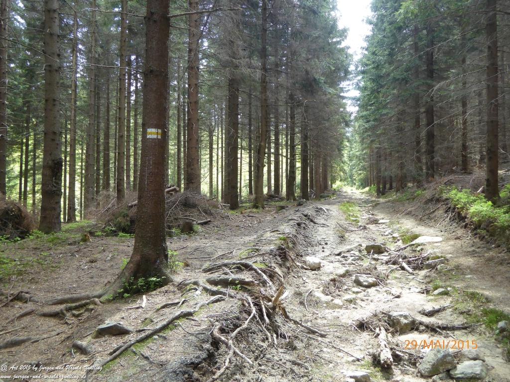 Philosophische Bildwanderung - Przesieka - Borowice - Słonecznik -Karkonosze - Krakonoše - Polen -Tschechien -(Hain - Baberhäuser - Mittagstein - Riesengebirge