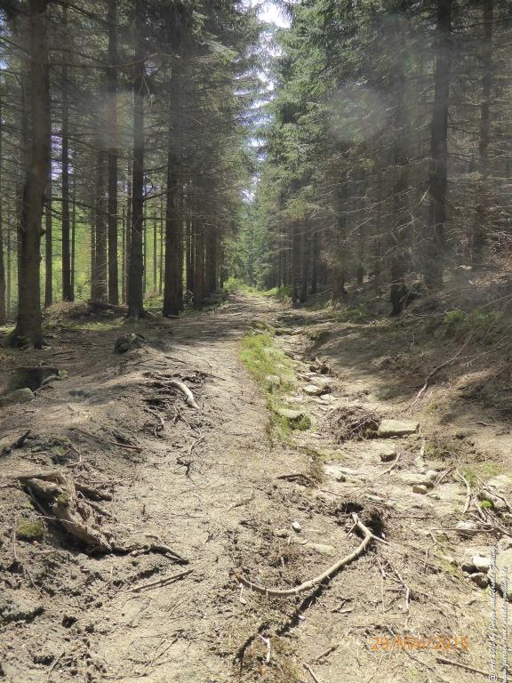 Philosophische Bildwanderung - Przesieka - Borowice - Słonecznik -Karkonosze - Krakonoše - Polen -Tschechien -(Hain - Baberhäuser - Mittagstein - Riesengebirge