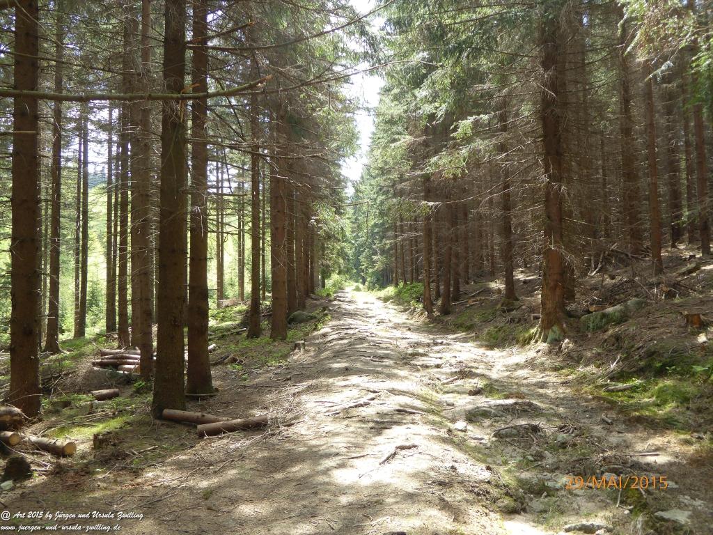 Philosophische Bildwanderung - Przesieka - Borowice - Słonecznik -Karkonosze - Krakonoše - Polen -Tschechien -(Hain - Baberhäuser - Mittagstein - Riesengebirge