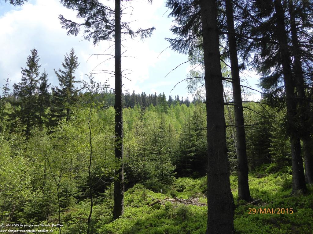 Philosophische Bildwanderung - Przesieka - Borowice - Słonecznik -Karkonosze - Krakonoše - Polen -Tschechien -(Hain - Baberhäuser - Mittagstein - Riesengebirge