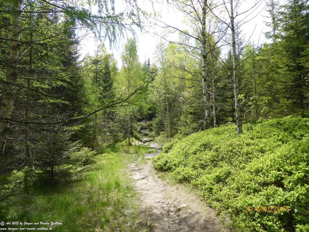 Philosophische Bildwanderung - Przesieka - Borowice - Słonecznik -Karkonosze - Krakonoše - Polen -Tschechien -(Hain - Baberhäuser - Mittagstein - Riesengebirge