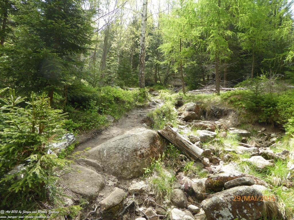 Philosophische Bildwanderung - Przesieka - Borowice - Słonecznik -Karkonosze - Krakonoše - Polen -Tschechien -(Hain - Baberhäuser - Mittagstein - Riesengebirge