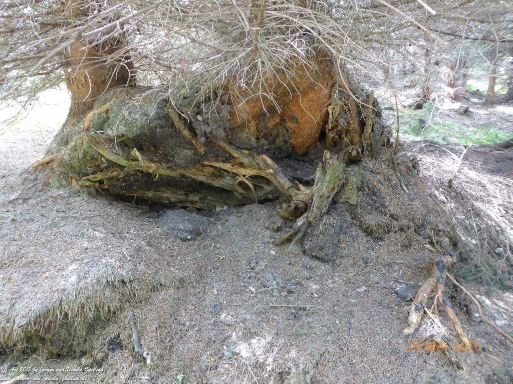 Philosophische Bildwanderung - Przesieka - Borowice - Słonecznik -Karkonosze - Krakonoše - Polen -Tschechien -(Hain - Baberhäuser - Mittagstein - Riesengebirge