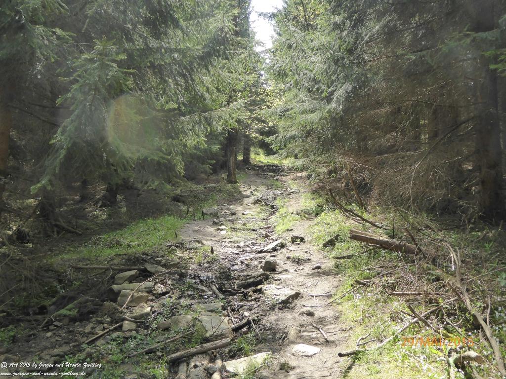 Philosophische Bildwanderung - Przesieka - Borowice - Słonecznik -Karkonosze - Krakonoše - Polen -Tschechien -(Hain - Baberhäuser - Mittagstein - Riesengebirge