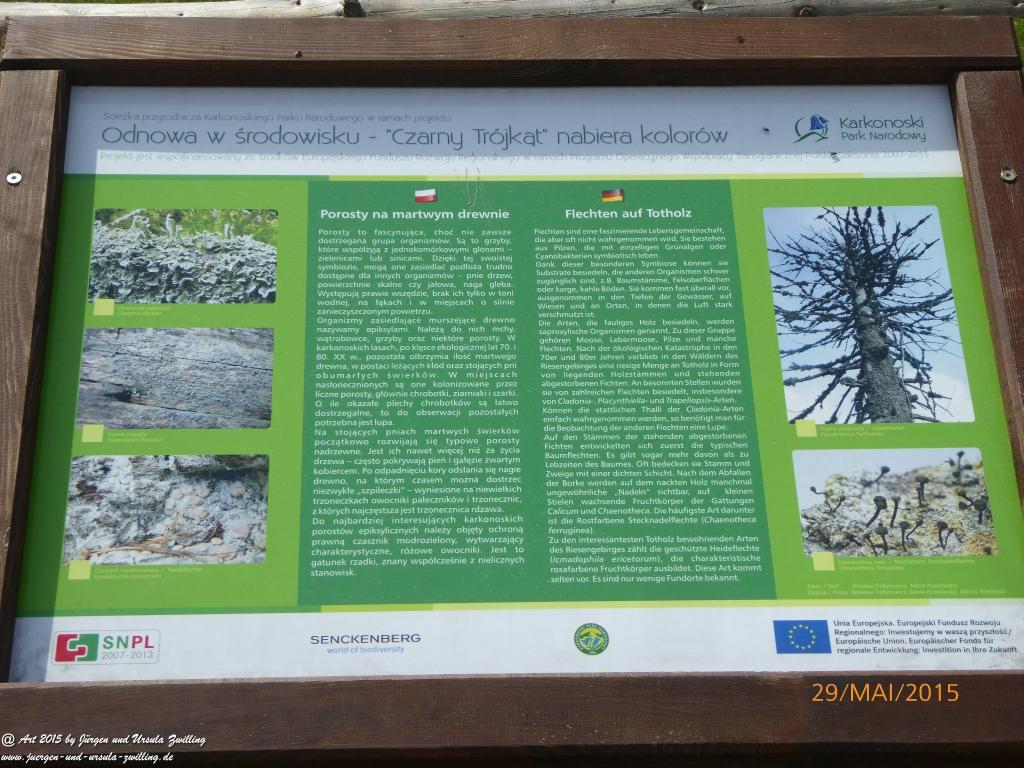 Philosophische Bildwanderung - Przesieka - Borowice - Słonecznik -Karkonosze - Krakonoše - Polen -Tschechien -(Hain - Baberhäuser - Mittagstein - Riesengebirge