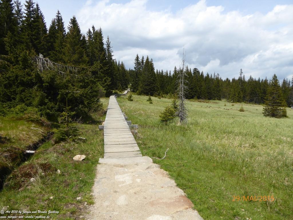 Philosophische Bildwanderung - Przesieka - Borowice - Słonecznik -Karkonosze - Krakonoše  - Polen -Tschechien -(Hain - Baberhäuser - Mittagstein - Riesengebirge