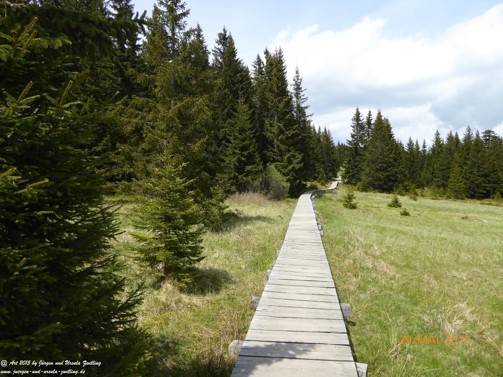 Philosophische Bildwanderung - Przesieka - Borowice - Słonecznik -Karkonosze - Krakonoše - Polen -Tschechien -(Hain - Baberhäuser - Mittagstein - Riesengebirge