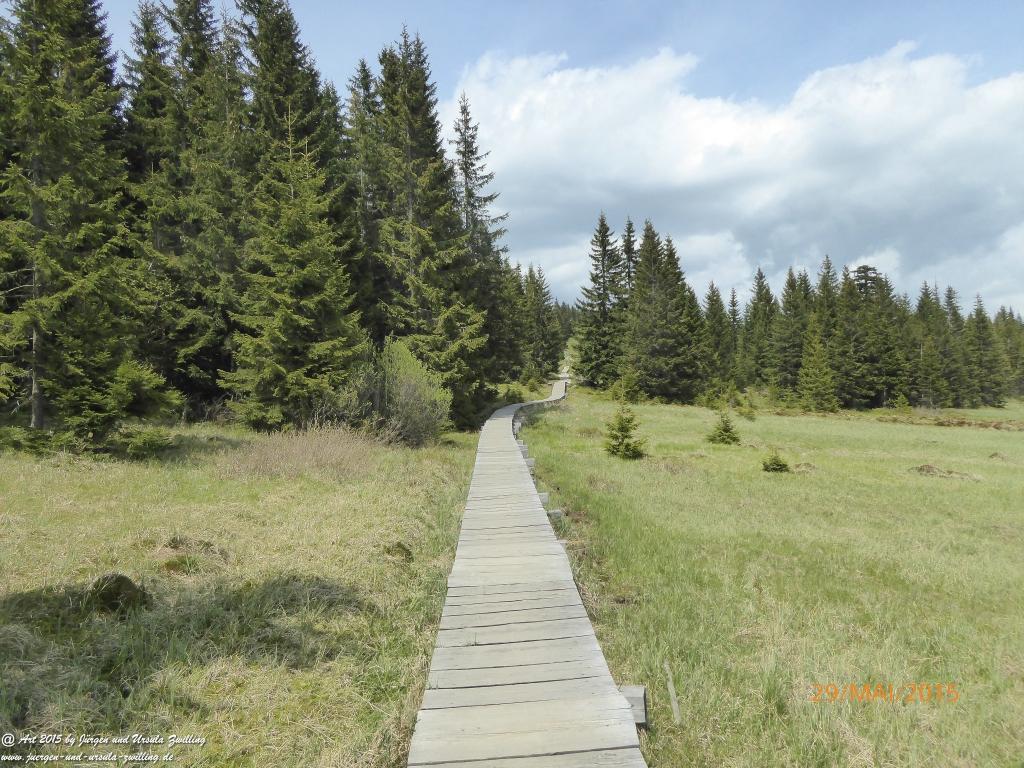 Philosophische Bildwanderung - Przesieka - Borowice - Słonecznik -Karkonosze - Krakonoše - Polen -Tschechien -(Hain - Baberhäuser - Mittagstein - Riesengebirge