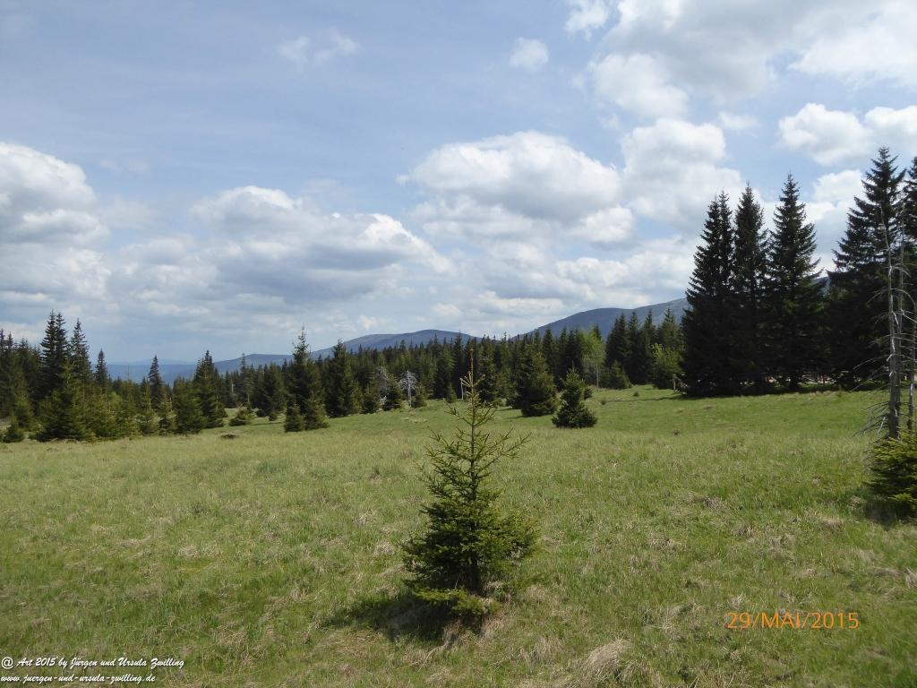 Philosophische Bildwanderung - Przesieka - Borowice - Słonecznik -Karkonosze - Krakonoše - Polen -Tschechien -(Hain - Baberhäuser - Mittagstein - Riesengebirge