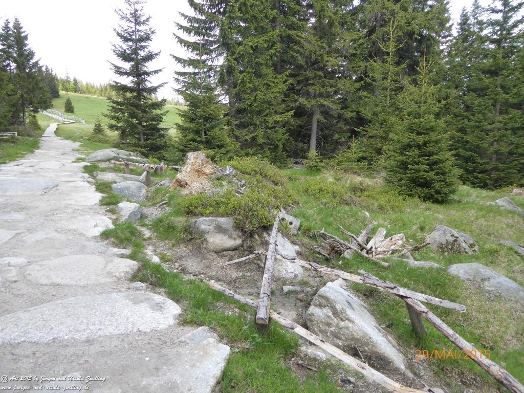 Philosophische Bildwanderung - Przesieka - Borowice - Słonecznik -Karkonosze - Krakonoše - Polen -Tschechien -(Hain - Baberhäuser - Mittagstein - Riesengebirge