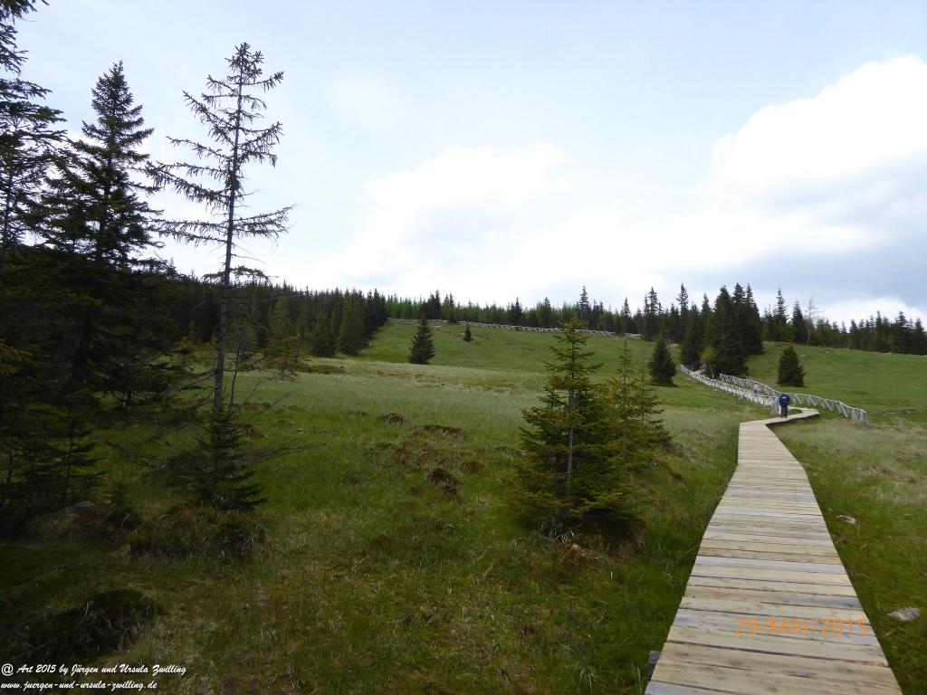 Philosophische Bildwanderung - Przesieka - Borowice - Słonecznik -Karkonosze - Krakonoše - Polen -Tschechien -(Hain - Baberhäuser - Mittagstein - Riesengebirge