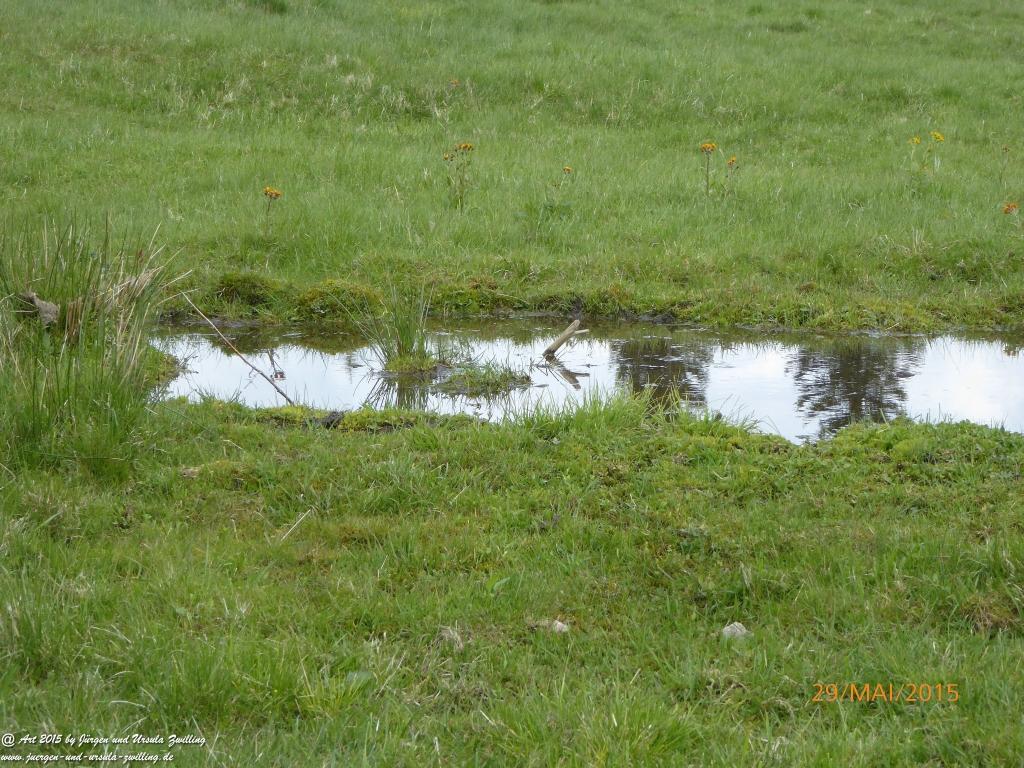 Philosophische Bildwanderung - Przesieka - Borowice - Słonecznik -Karkonosze - Krakonoše - Polen -Tschechien -(Hain - Baberhäuser - Mittagstein - Riesengebirge