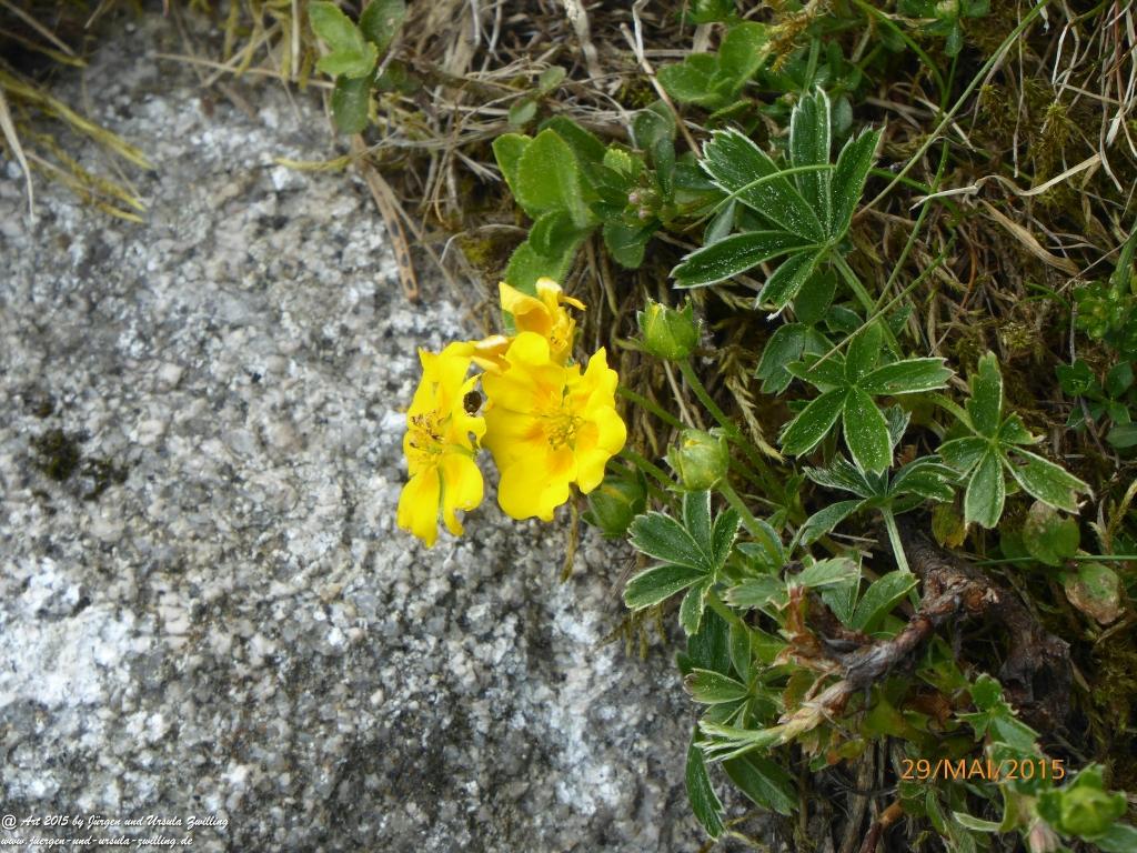 Philosophische Bildwanderung - Przesieka - Borowice - Słonecznik -Karkonosze - Krakonoše - Polen -Tschechien -(Hain - Baberhäuser - Mittagstein - Riesengebirge