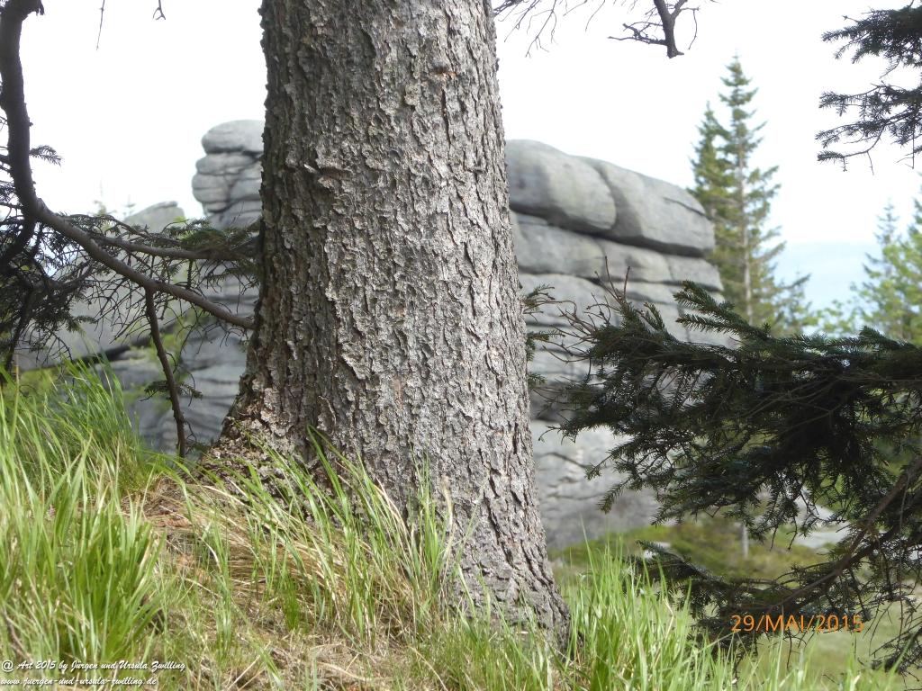 Philosophische Bildwanderung - Przesieka - Borowice - Słonecznik -Karkonosze - Krakonoše - Polen -Tschechien -(Hain - Baberhäuser - Mittagstein - Riesengebirge