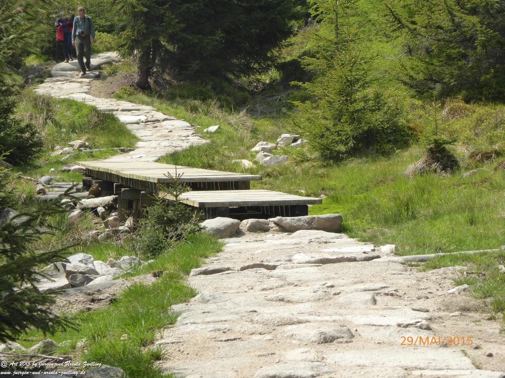 Philosophische Bildwanderung - Przesieka - Borowice - Słonecznik -Karkonosze - Krakonoše - Polen -Tschechien -(Hain - Baberhäuser - Mittagstein - Riesengebirge