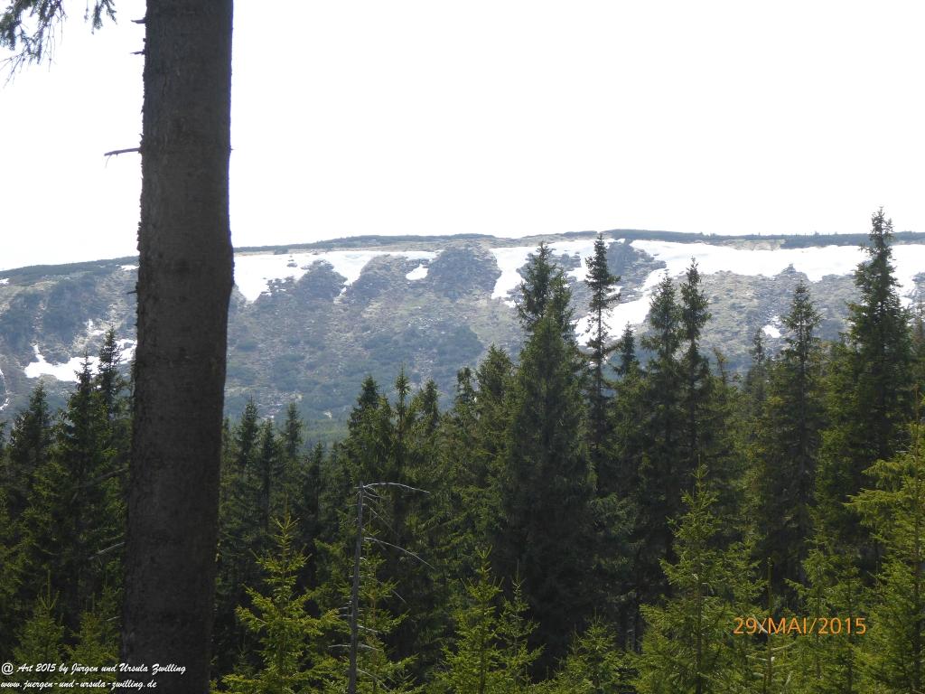 Philosophische Bildwanderung - Przesieka - Borowice - Słonecznik -Karkonosze - Krakonoše - Polen -Tschechien -(Hain - Baberhäuser - Mittagstein - Riesengebirge